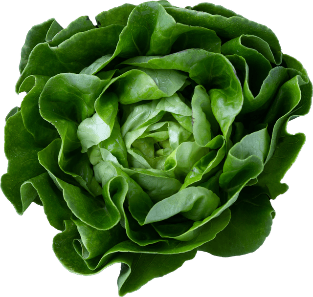 Leafy Vegetables